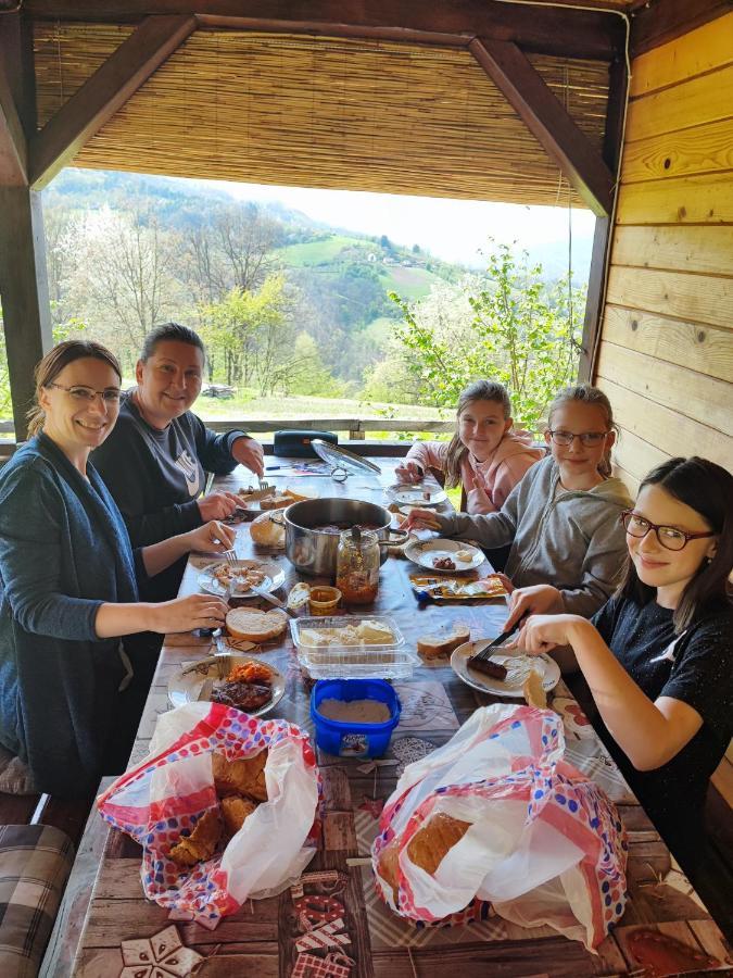 Brvnara Na Bregu Villa Bajina Basta Bagian luar foto