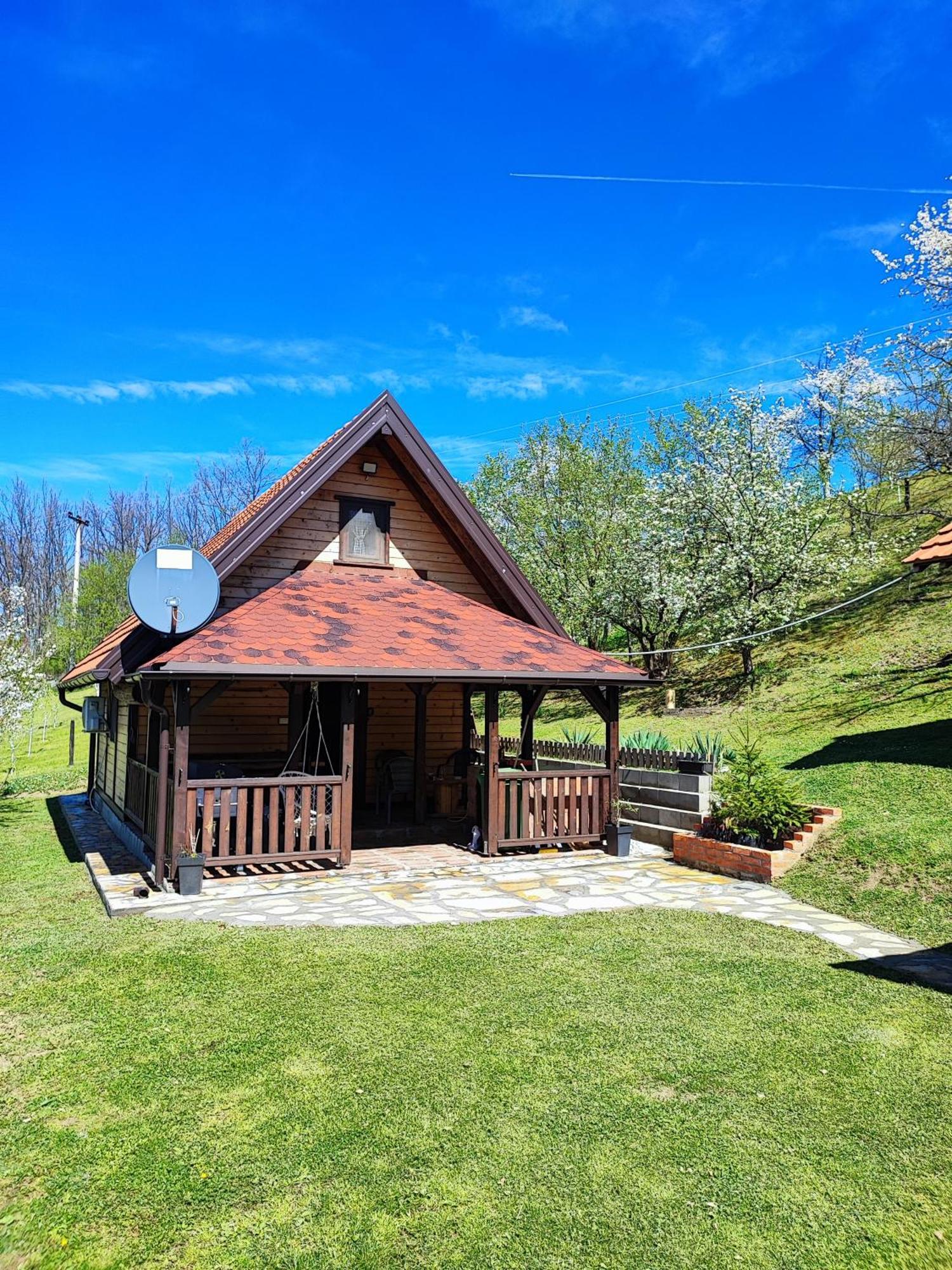 Brvnara Na Bregu Villa Bajina Basta Bagian luar foto