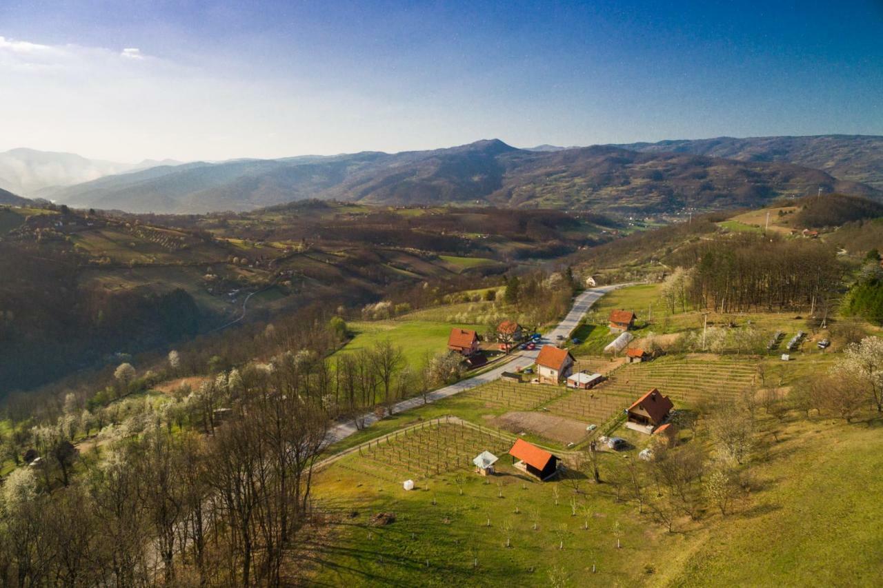Brvnara Na Bregu Villa Bajina Basta Bagian luar foto