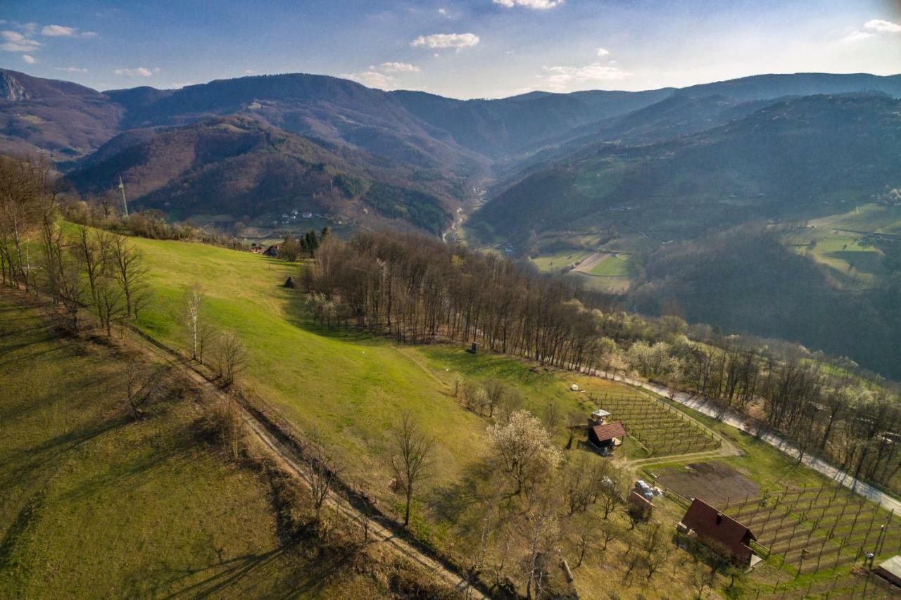 Brvnara Na Bregu Villa Bajina Basta Bagian luar foto