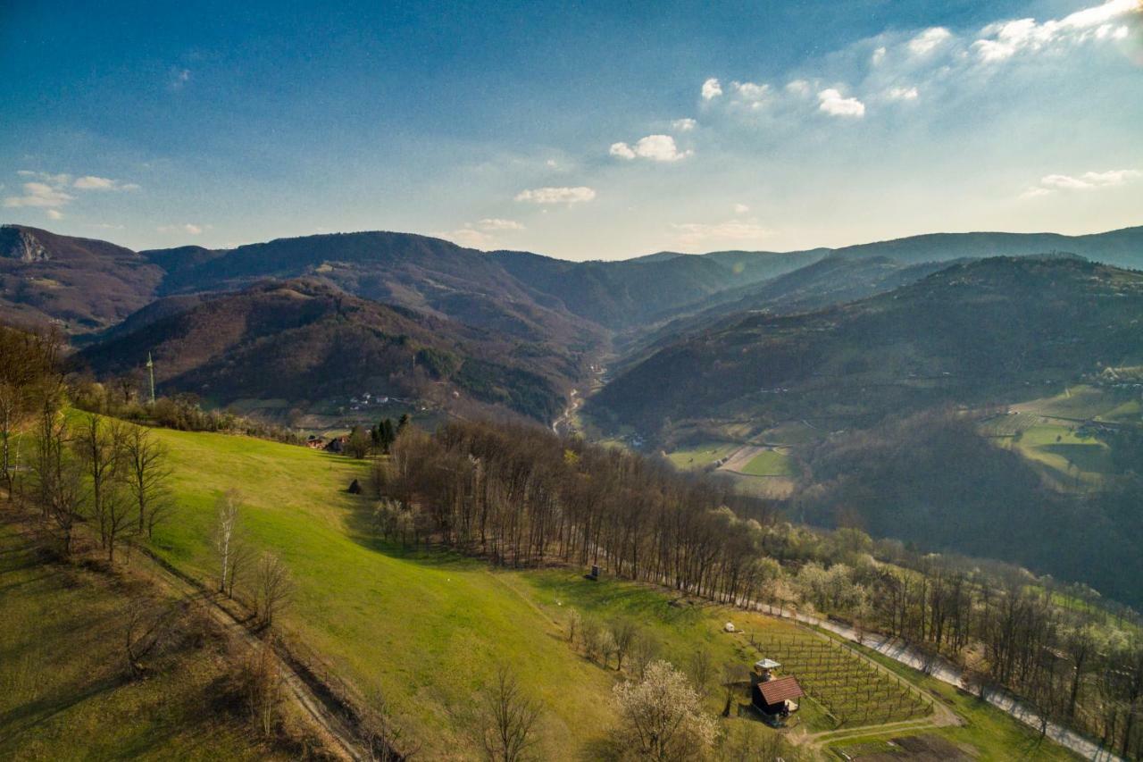 Brvnara Na Bregu Villa Bajina Basta Bagian luar foto
