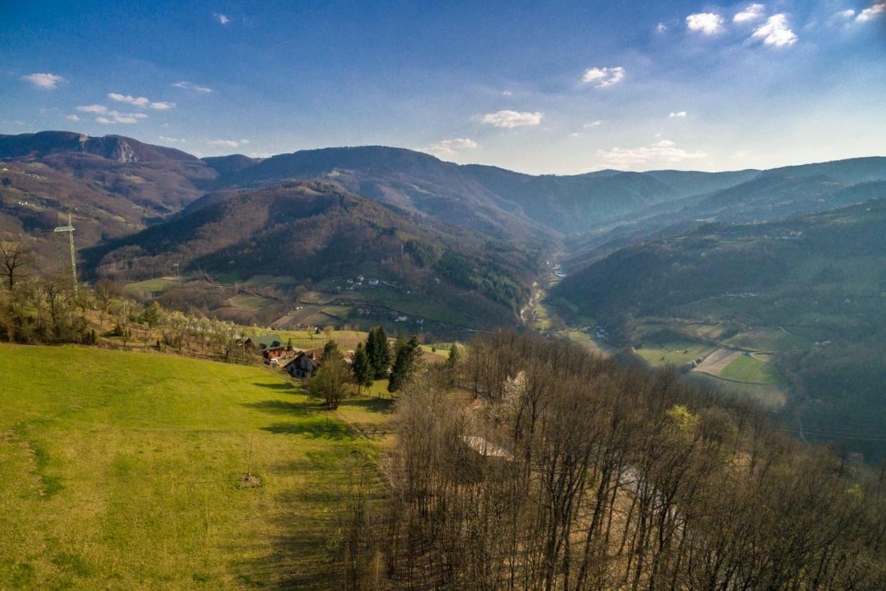 Brvnara Na Bregu Villa Bajina Basta Bagian luar foto